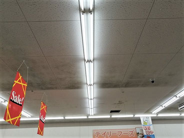 カビ取り前の天井