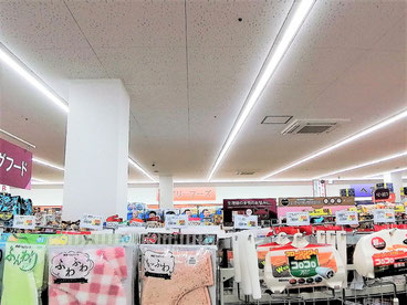 防カビ施工後の天井