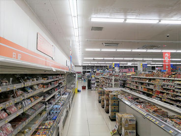 防カビ施工後の天井