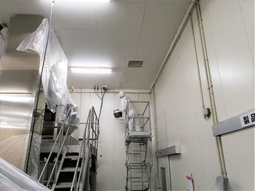 カビ除去作業中