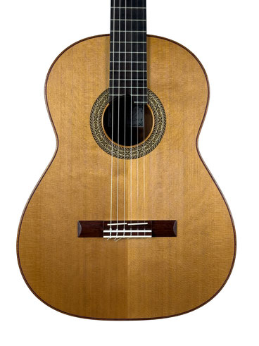 Guitare classique John Price 