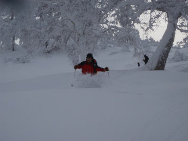 新雪・深雪・パウダー・・・・