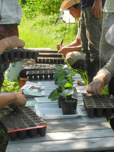 植物の育て方の基本形から応用まで、小人数ならではのケアをします。