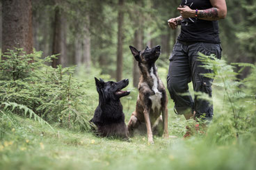 Hundeschule Namida