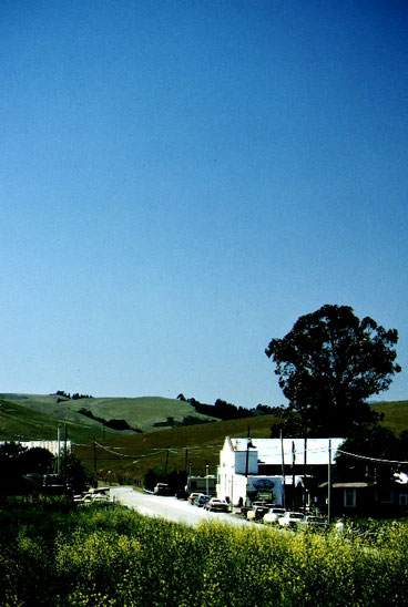 Beneath a cloudless California sky, the magnificent metropolis of Harmony; population: 18.