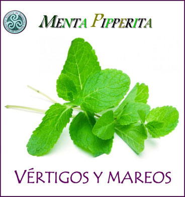 Menta Pipperita