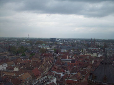 Blick vom Münster