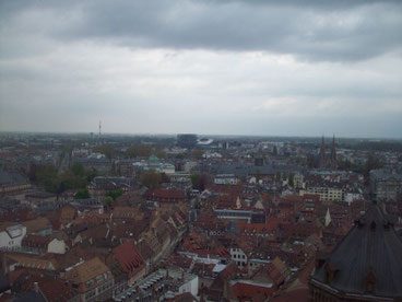 Blick vom Münster