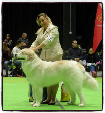 Echo de'Chien Escuda pour Garcon