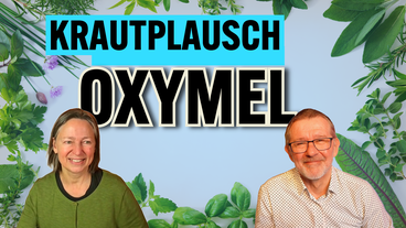 Bildbeschreibung