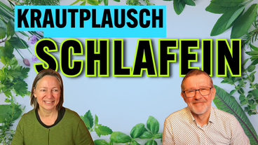 Bildbeschreibung