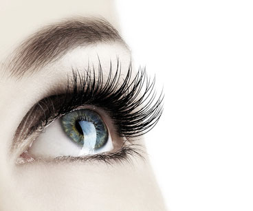 Wimpernstudio - Anke Wessendorf