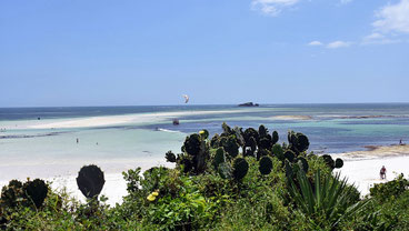 Turtle beach Watamu