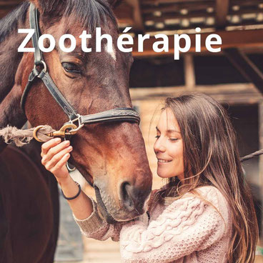 La zoothérapie est l'intervention Professionnelle en Médiation Animale.