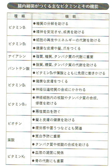 腸内細菌がつくる主なビタミンとその機能
