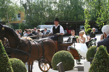 ® Birkenhof Gols Hochzeit - Fahrt in der Pferdekutsche