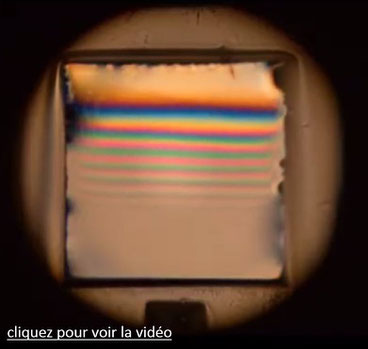 Couleurs interférentielles sur un film de savon vertical ; franges d'égale épaisseur