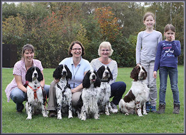 Aus dem B-Wurf: Bizzy, Blackjack, Mama Luise, Bandit, Baxter (& Blackbell) 