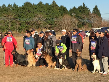 公益社団法人 日本警察犬協会 本部主催  第１回特別日本チャンピオン決定審査会の写真