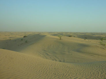 Dune Bashing