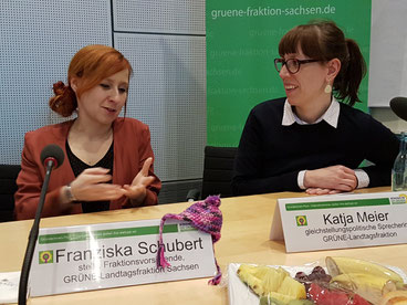 Bild: GRÜNE Fraktion Sachsen