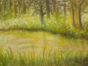 Kleiner Teich 2008 - Pastell -plein air-(verkauft)