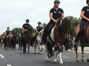 Herzlich Willkommen In Steinfurt