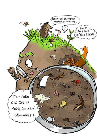 Illustration : Marion Jouffroy