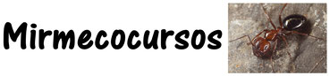 Página web de mirmecocursos