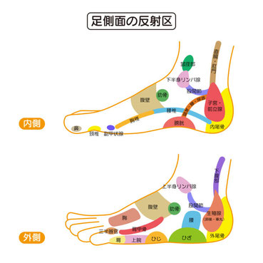 足側面の反射区