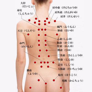 背中の内臓のツボ
