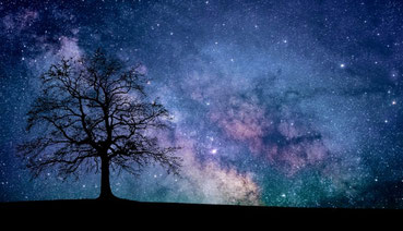 幻想的な宇宙の写真