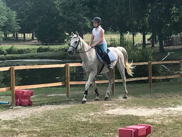 Students have different options to Equi lease one of our lessons horses 