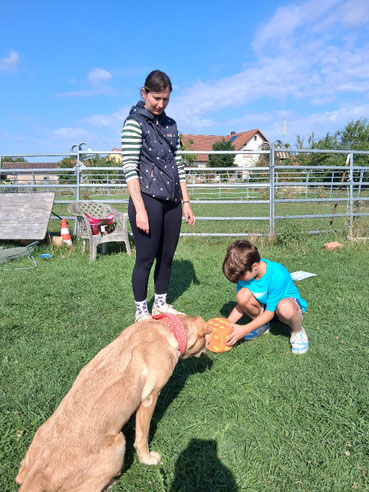 Praxisvorbereitung Schulhund