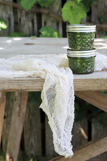 Liebstöckelpesto