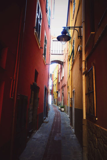 BIGOUSTEPPES ITALIE CINQUE TERRE