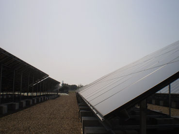 パネルの大きさにビックリ!粛々と太陽の光を電気に変えていきます