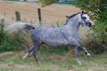 Charlotte as a 4 year old in Belgium 