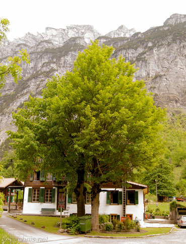 Alpenhof Stechelberg