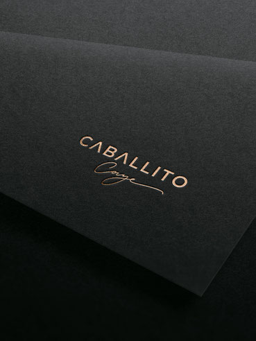 Embossed luxury logo and graphic design by Nina Fischer Berlin