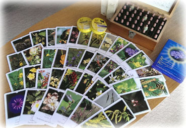 バッチフラワーレメディのストックボトルと38種の花の写真カード