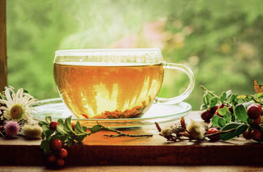 茶花特有の成分がキモ