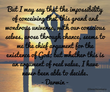 meditating at beach with Darwin quote