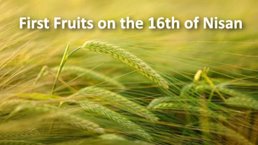 First Fruits Sunday Resurrection