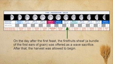 Counting Omer First fruits Pentecost