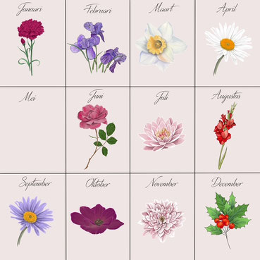 geboortebloemen voor op modern signature  jasje bruid