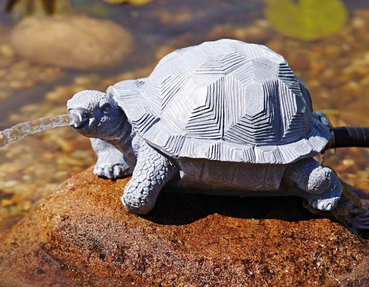 Wasserspeier Schildkröte 