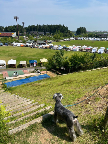 新潟県三条市のクラフトイベント