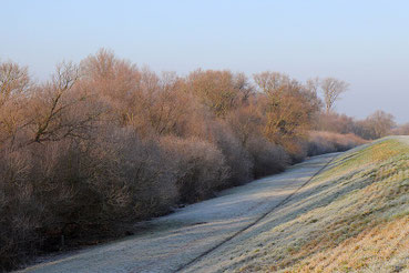 Deich in Moorwerder mit dem vorgelagerten Naturschutzgebiet Heuckenlock