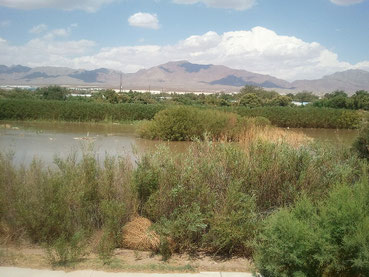 Der Rio Grande in der Nähe von El Paso